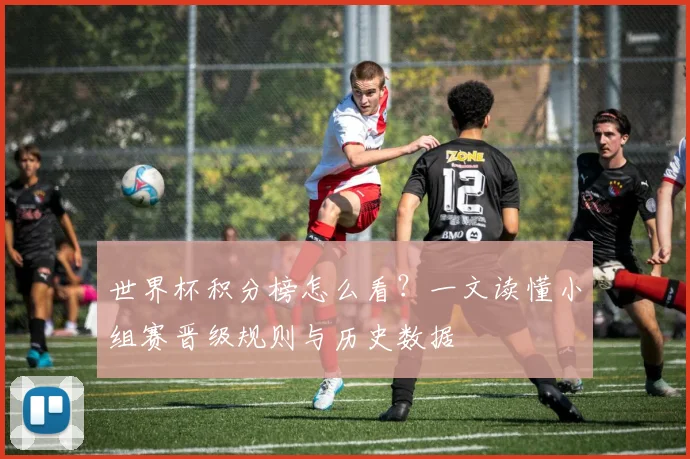 世界杯积分榜怎么看？一文读懂小组赛晋级规则与历史数据