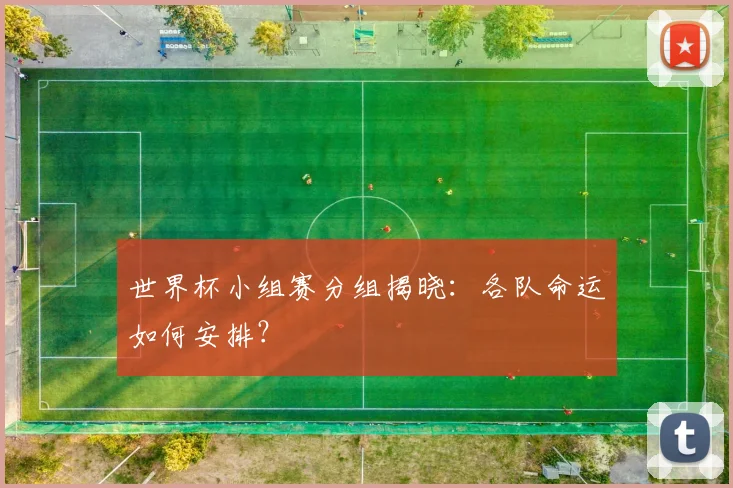 世界杯小组赛分组揭晓：各队命运如何安排？